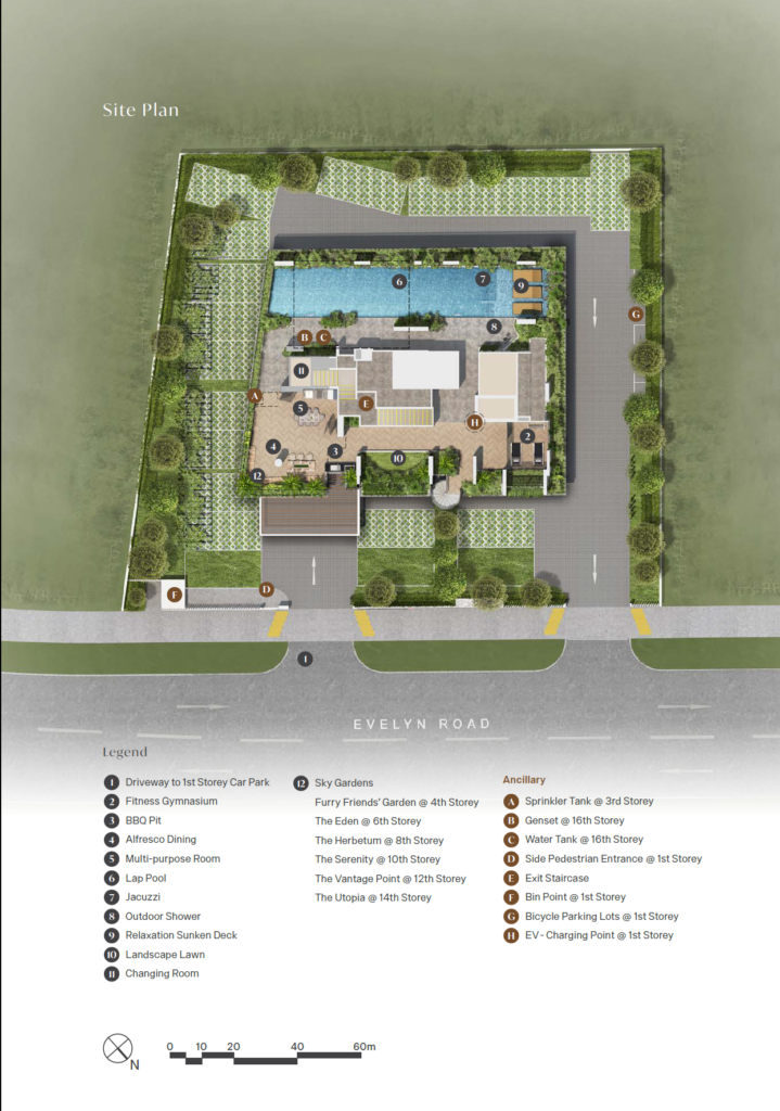 Site Plan