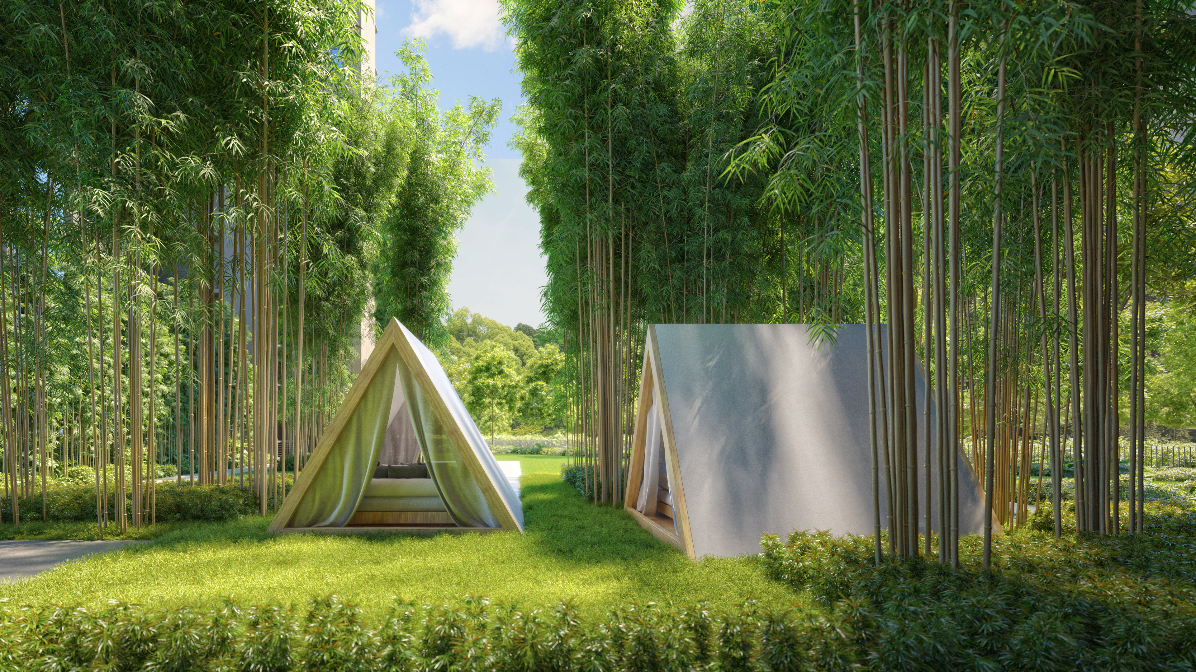 Bamboo Forest Camp